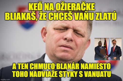 Príspevok 229840