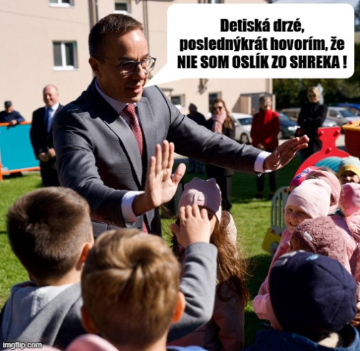 Príspevok 229839